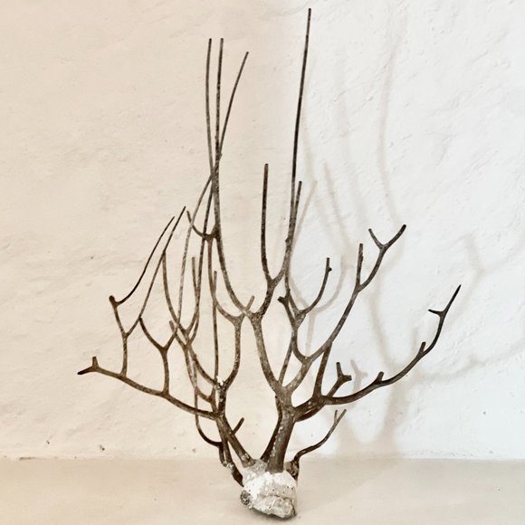 "Juntos" photo print framed of Driftwood and Coral from Holbox, mexico - Picture 2 of 2